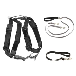 PetSafe Training|Harnesses & Leashes-3 in 1 Harness with Two Point Control Leash
