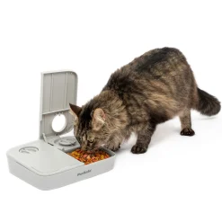 PetSafe Fountains & Feeders|Feeders-Automatic 2 Meal Pet Feeder