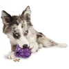 PetSafe Toys|Treat Dispensing Toys-Busy Buddy® Barnacle