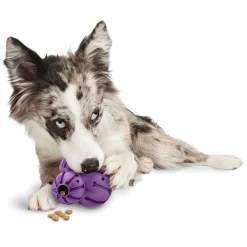 PetSafe Toys|Treat Dispensing Toys-Busy Buddy® Barnacle