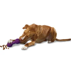 PetSafe Toys|Treat Dispensing Toys-Busy Buddy® Chuckle™