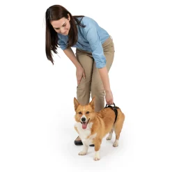 PetSafe Harnesses & Leashes|Mobility-CareLift™ Rear Support Harness