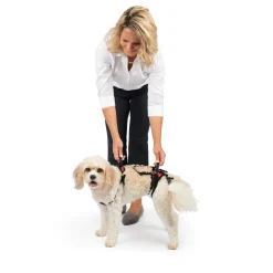 PetSafe Harnesses & Leashes|Mobility-CareLift™ Support Harness