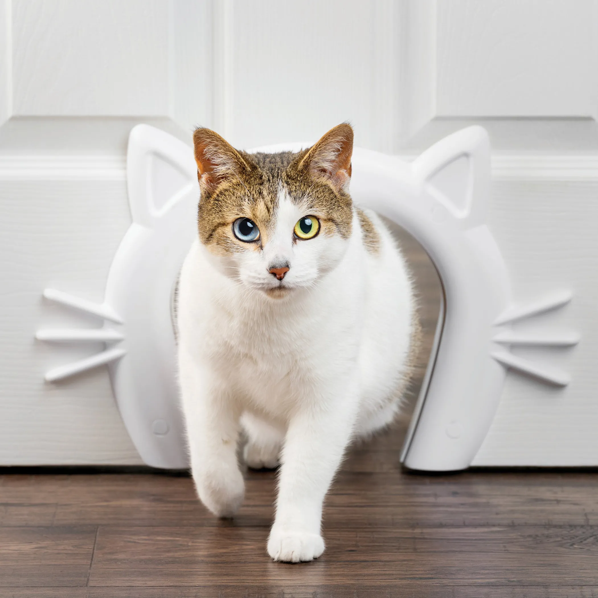 PetSafe Doors|Interior Doors-Cat Corridor™ Interior Pet Door