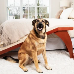 PetSafe Mobility|Steps & Ramps-CozyUp™ Bed Ramp