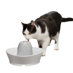 PetSafe Fountains & Feeders|Fountains-Creekside Ceramic Pet Fountain