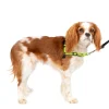 PetSafe Training|Harnesses & Leashes-Deluxe Easy Walk® Harness