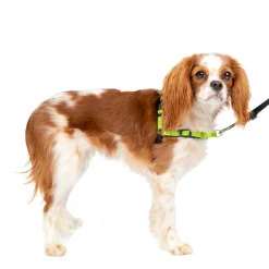 PetSafe Training|Harnesses & Leashes-Deluxe Easy Walk® Harness