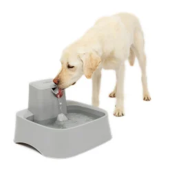 PetSafe Fountains & Feeders|Fountains-Drinkwell® 2 Gallon Pet Fountain