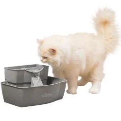 PetSafe Fountains & Feeders|Fountains-Drinkwell® Multi-Tier Pet Fountain