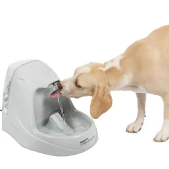 PetSafe Fountains & Feeders|Fountains-Drinkwell® Platinum® Pet Fountain