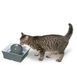 PetSafe Fountains & Feeders|Fountains-Drinkwell® Seascape Pet Fountain