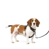 PetSafe Training|Harnesses & Leashes-Easy Walk® Comfort No-Pull Dog Harness
