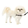 PetSafe Training|Harnesses & Leashes-Easy Walk® Harness, No Pull Dog Harness