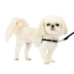 PetSafe Training|Harnesses & Leashes-Easy Walk® Harness, No Pull Dog Harness