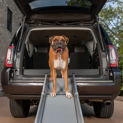 PetSafe Travel|Mobility-Happy Ride® Compact Telescoping Dog Ramp