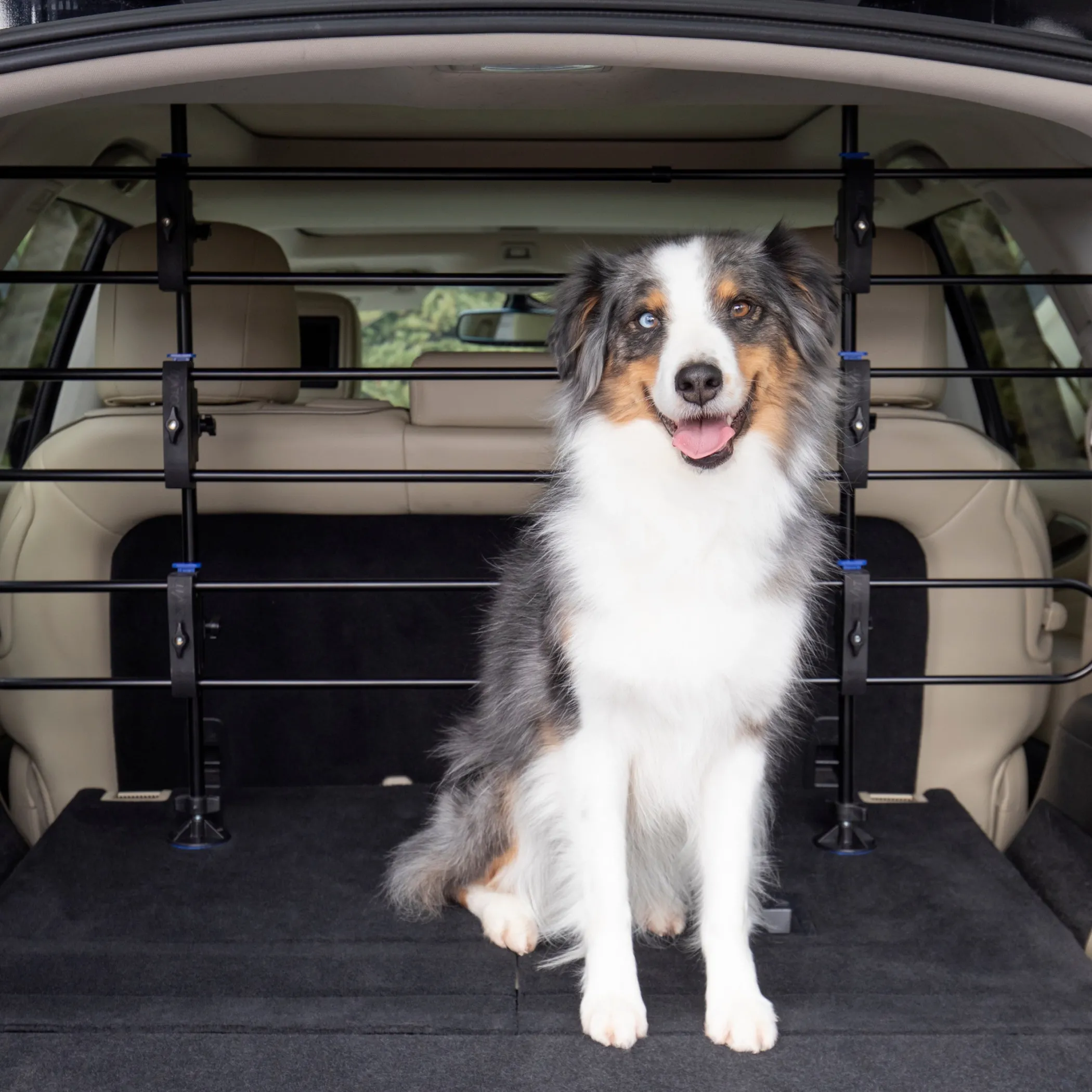 PetSafe Travel|Car Accessories-Happy Ride® Dog Barrier