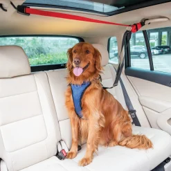 PetSafe Travel|Car Accessories-Happy Ride® Dog Zipline