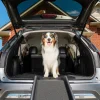 PetSafe Travel|Mobility-Happy Ride® Folding Dog Ramp