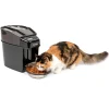PetSafe Fountains & Feeders|Feeders-Healthy Pet Simply Feed™