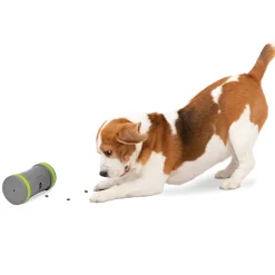 PetSafe Toys|Automated Toys-Kibble Chase™ Roaming Treat Dropper