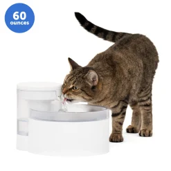 PetSafe Fountains & Feeders|Fountains-Outlast™ Cat Fountain, 60 oz