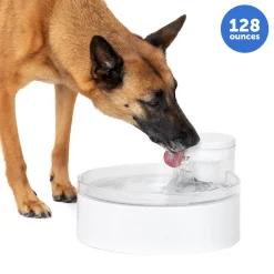 PetSafe Fountains & Feeders|Fountains-Outlast™ Dog Fountain, 128 oz