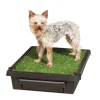 PetSafe Training|House Training-Pet Loo™ Pet Toilet