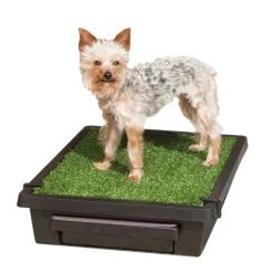 PetSafe Training|House Training-Pet Loo™ Pet Toilet