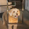 PetSafe Doors|Door & Wall-entry-Pet Screen Door