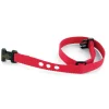 PetSafe Training|Parts & Accessories-Replacement Collar Strap for Basic Bark Collar