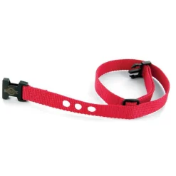 PetSafe Training|Parts & Accessories-Replacement Collar Strap for Basic Bark Collar