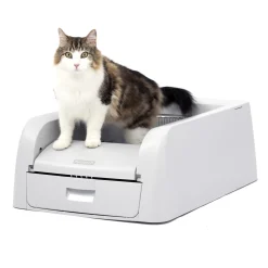 PetSafe Litter Boxes & Litter|Litter Boxes-ScoopFree® Clumping Self-Cleaning Litter Box