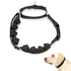 PetSafe Training|Harnesses & Leashes-Soft Point Training Collar
