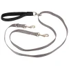 PetSafe Harnesses & Leashes|Leashes-Two Point Control Leash