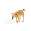PetSafe Fountains & Feeders|Fountains-Viva™ 140 oz Pet Fountain