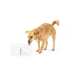 PetSafe Fountains & Feeders|Fountains-Viva™ 140 oz Pet Fountain