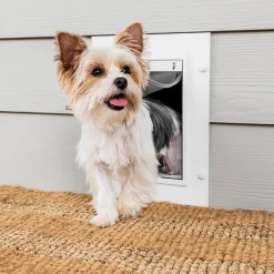 PetSafe Doors|Door & Wall-entry-Wall Entry Pet Door™